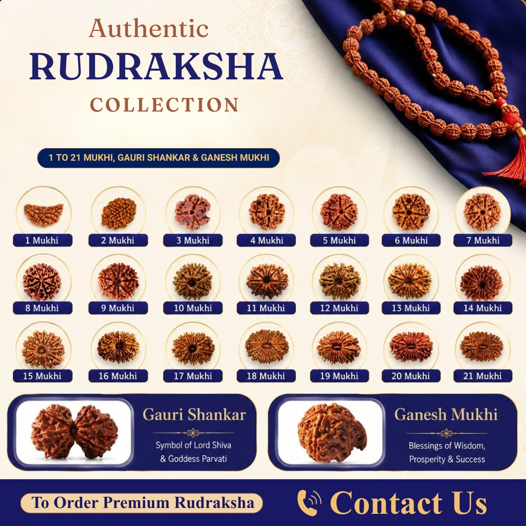 Original certified Rudraksha bead collection