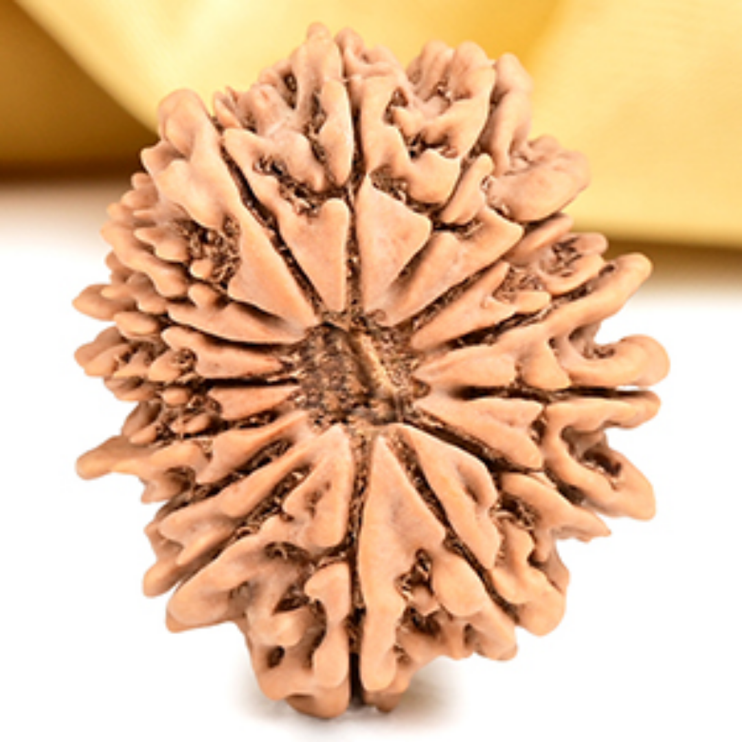15 Mukhi Rudraksha - Lord Pashupatinath