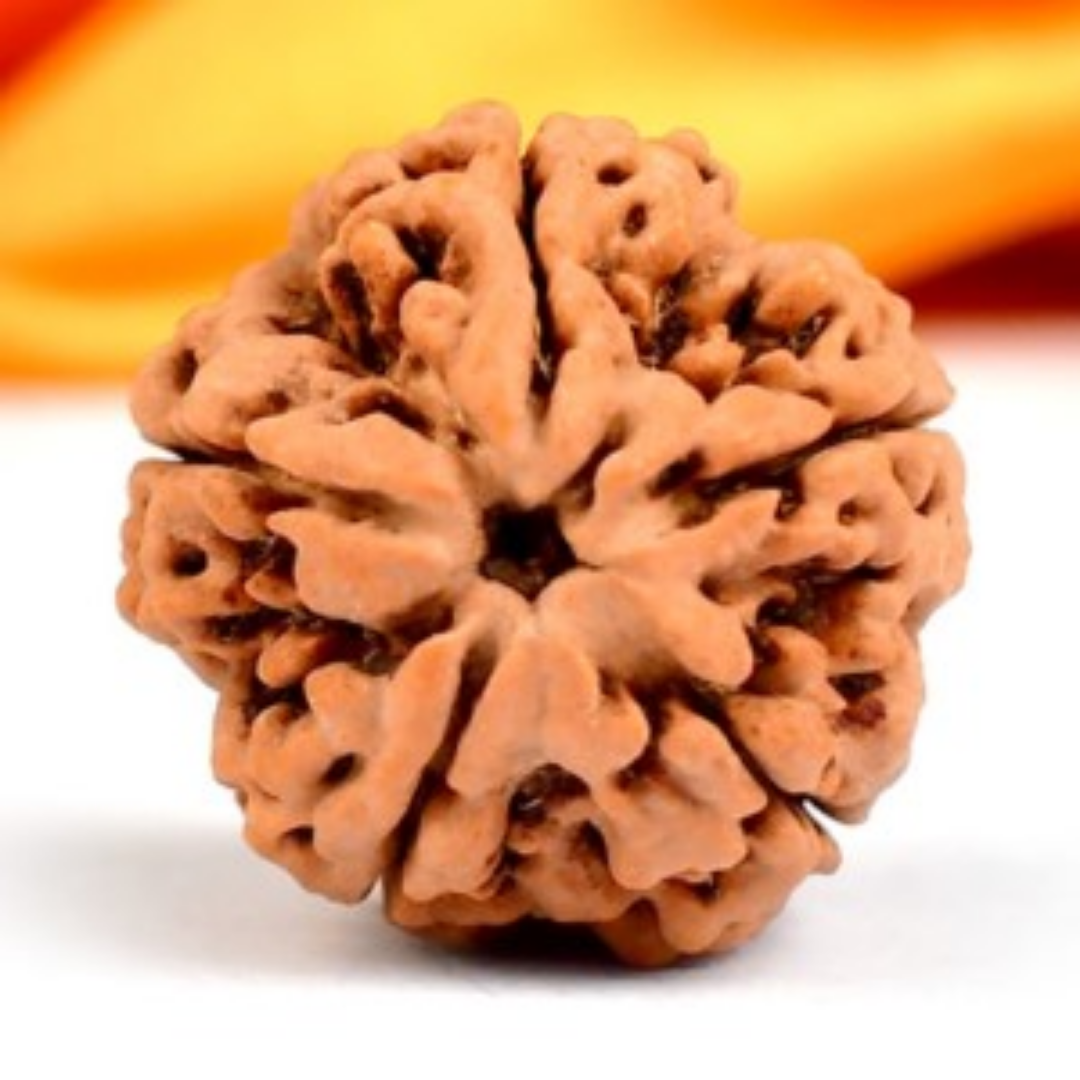 5 Mukhi Rudraksha - Lord Kalagni
